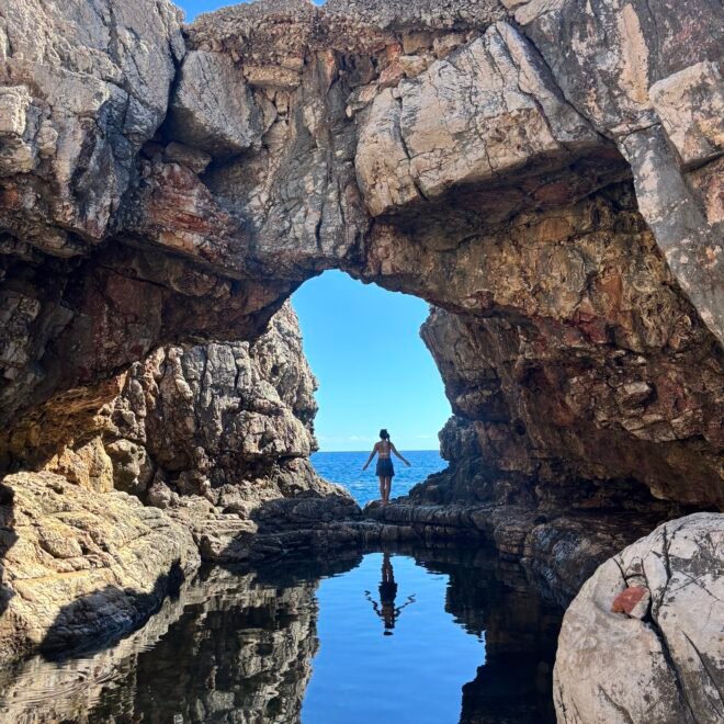 The Phoenix and the Cage