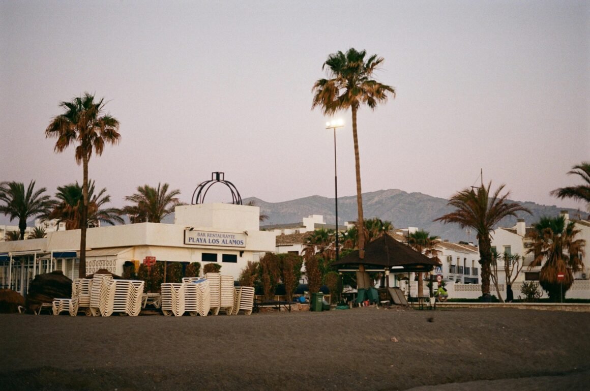 A serene sunrise view of Playa Los Alamos in Torremolinos, Spain featuring palm trees and mountain backdrop.