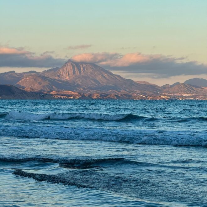 How a stranger investigated her way into my life