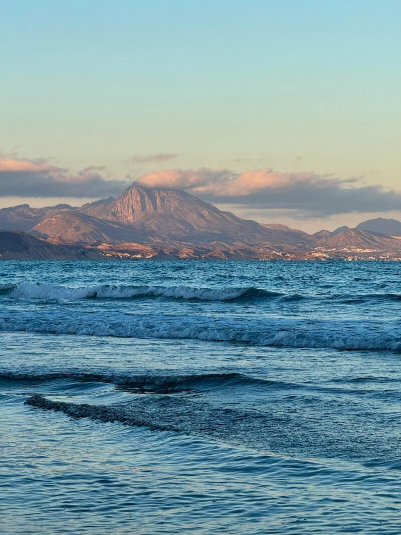 How a stranger investigated her way into my life